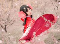 Cosplay福利/阴阳师 角色:樱花妖 Cn:斯文文文文_