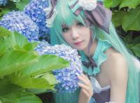 Cosplay福利/VOCALOID 角色:初音未来cosplay Cn:稀稀sei
