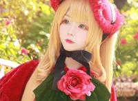 Cosplay福利/蔷薇少女