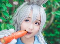 Cosplay福利/疯狂动物城朱迪警服Cosplay清纯美女写真图片