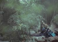 Cosplay福利/霹雳布袋戏风华凯旋侯cosplay图片