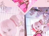 Cosplay福利/粉嫩萌系美女萝莉王者荣耀cosplay小乔美图