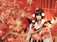 Cosplay福利/东方Project射命丸文 萝莉黑丝cosplay福利