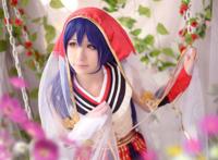 Cosplay福利/园田海未童话觉醒仙鹤报恩cosplay