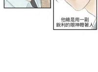 八岐大蛇x晴明车——蛇吻腐漫文