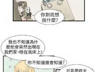 韩国bl漫《普通关系》(肉),完结,不喜误入! 韩国同性H漫画