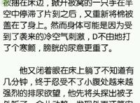 路人叶修歪果仁都不是好东西车文图本子