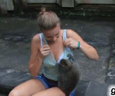 倪妮刮毛门是什么意思 倪妮不雅刮毛门种子