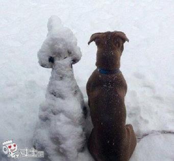 自从在后院用雪堆了一只狗后(点击浏览下一张趣图)