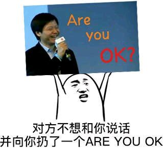 对方不想和你说话并向你扔了一个are you ok 雷军。。(点击浏览下一张趣图)