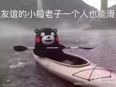 熊本熊：友谊的小船老子一个人也能滑(点击浏览下一张趣图)
