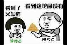 群成员：看到这坨屎没有 管理员：看到了又怎样？ 啪！