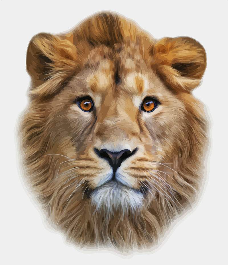 霸气狮子头图片(点击浏览下一张趣图)