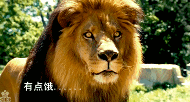 狮子：有点饿动态表情(点击浏览下一张趣图)