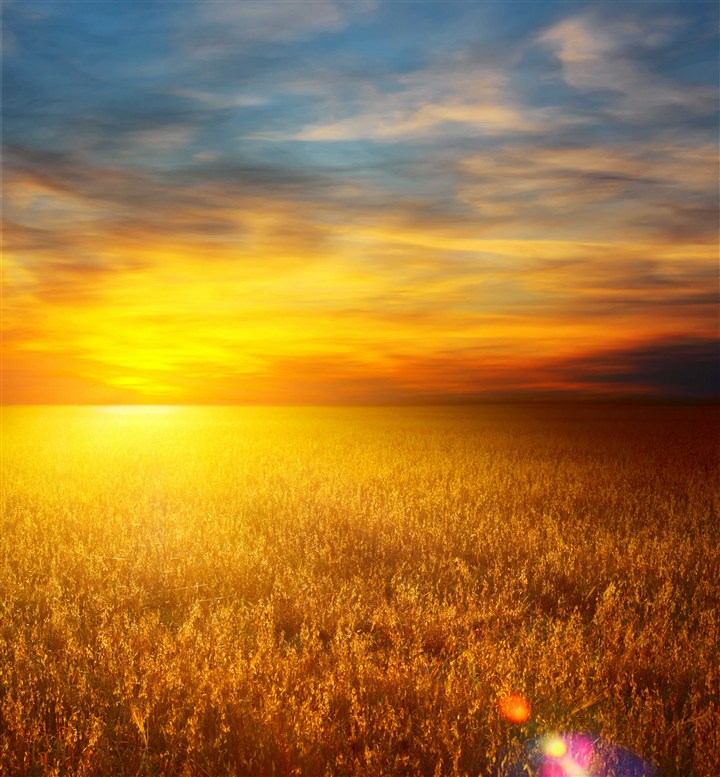 夕阳下的美丽金秋草原图片(点击浏览下一张趣图)