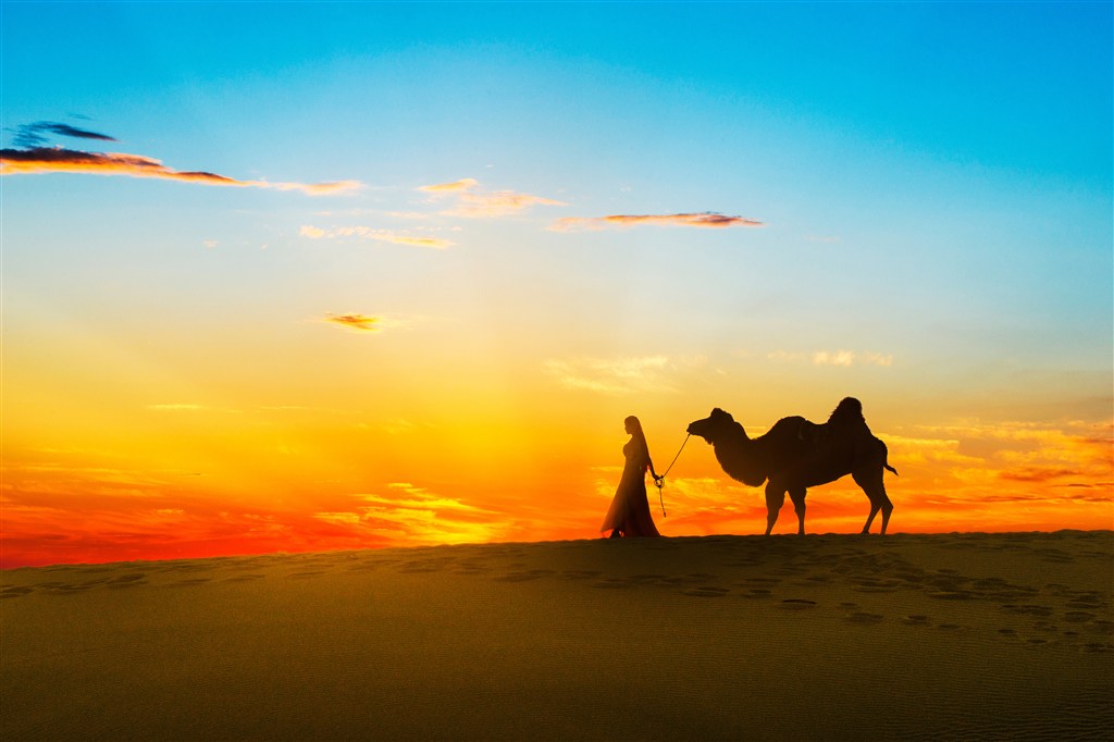 傍晚牵着骆驼的民族少女图片(点击浏览下一张趣图)