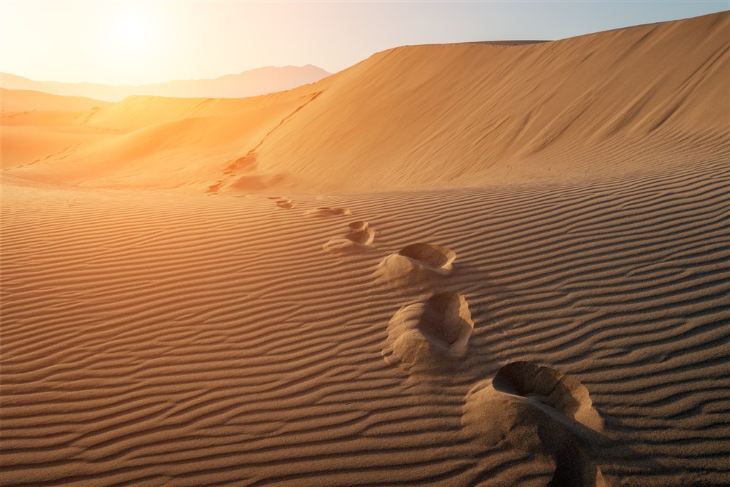 沙漠中脚印高清图片(点击浏览下一张趣图)