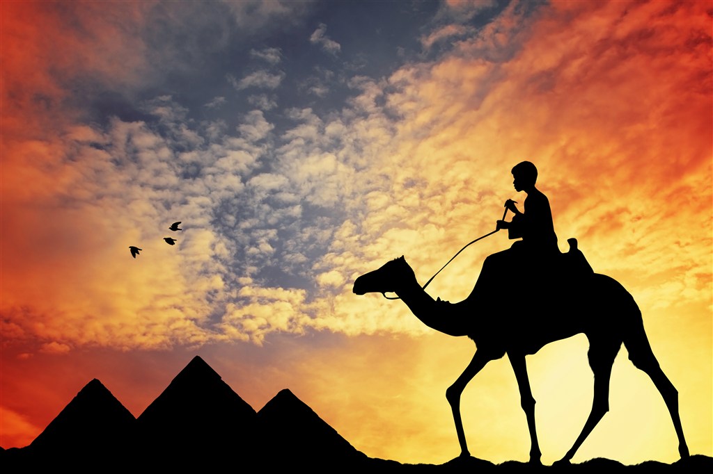 傍晚晚霞下骑着骆驼的孩子图片(点击浏览下一张趣图)