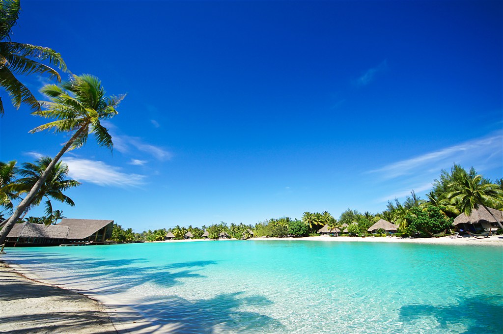 浅滩清澈蓝色海水椰子树茅屋休闲图片(点击浏览下一张趣图)