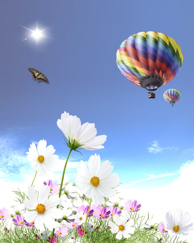 盛开的花朵蓝色天空 热气球图片(点击浏览下一张趣图)