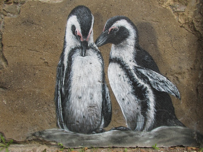 未成年的两只企鹅图片(点击浏览下一张趣图)