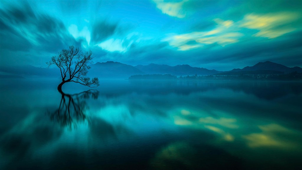 在湖中孤独的一棵大树图片(点击浏览下一张趣图)