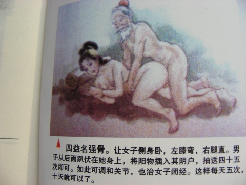 古代后宫房中媚术 房中御女术口诀 古代房术姿势(2)(点击浏览下一张趣图)