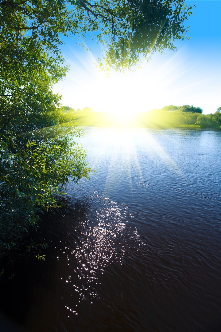 早晨耀眼的阳光映射在水面上(点击浏览下一张趣图)