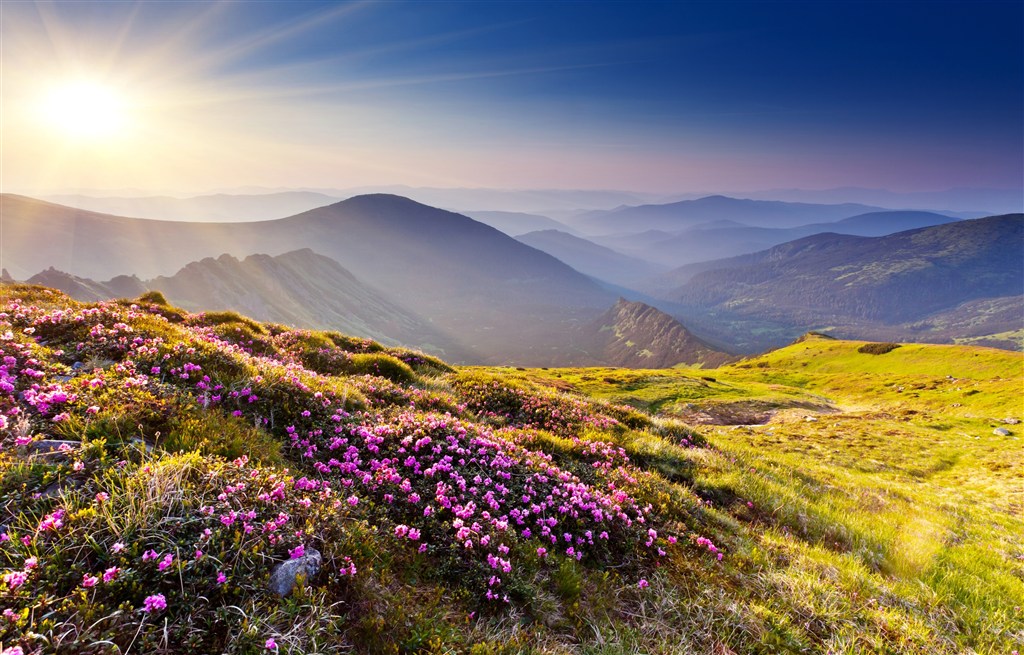 平坦的山坡开着鲜花和绿色的草地(点击浏览下一张趣图)