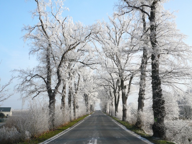 碧树银装公路美景图片(点击浏览下一张趣图)