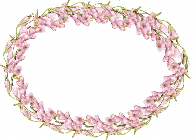 粉色花圈素材图片(点击浏览下一张趣图)