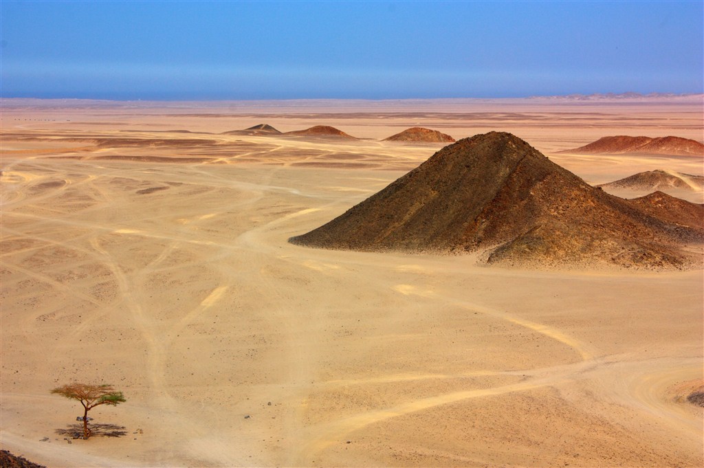 荒芜沙漠中的山石和孤零零的小树图片(点击浏览下一张趣图)