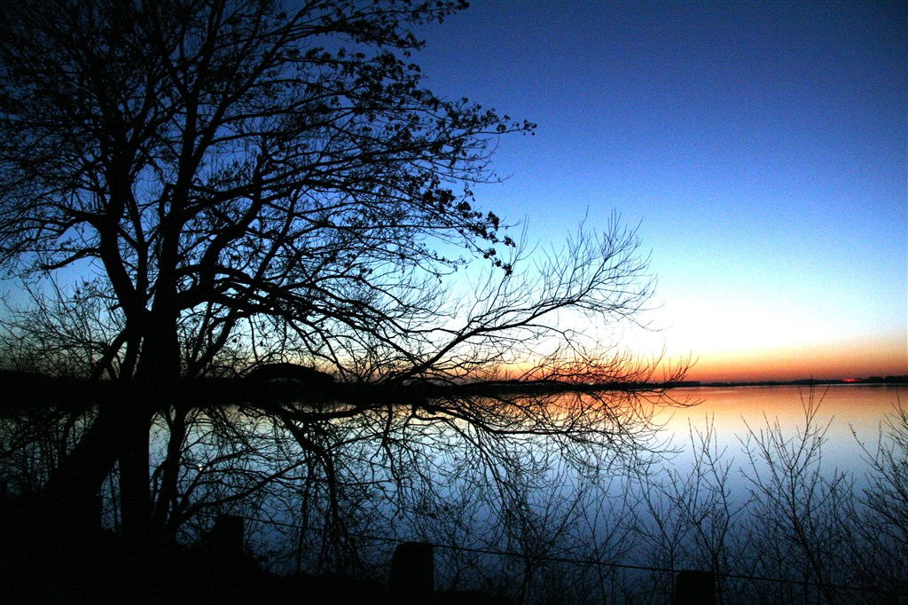 湖边大树远望落日美景图片(点击浏览下一张趣图)