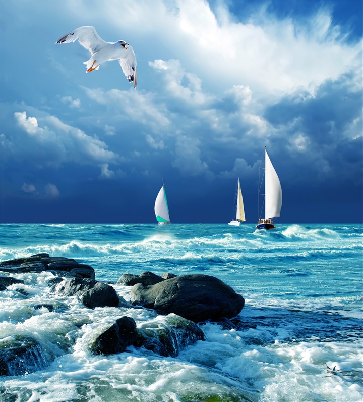 蓝色大海岸边礁石帆船海鸥唯美图片(点击浏览下一张趣图)