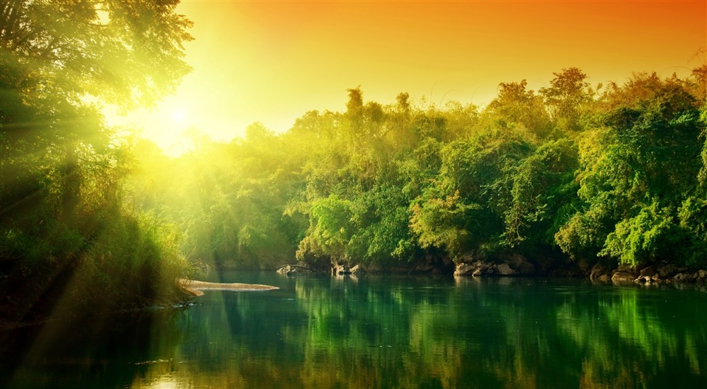 被绿色植被包围的湖面阳光图片(点击浏览下一张趣图)