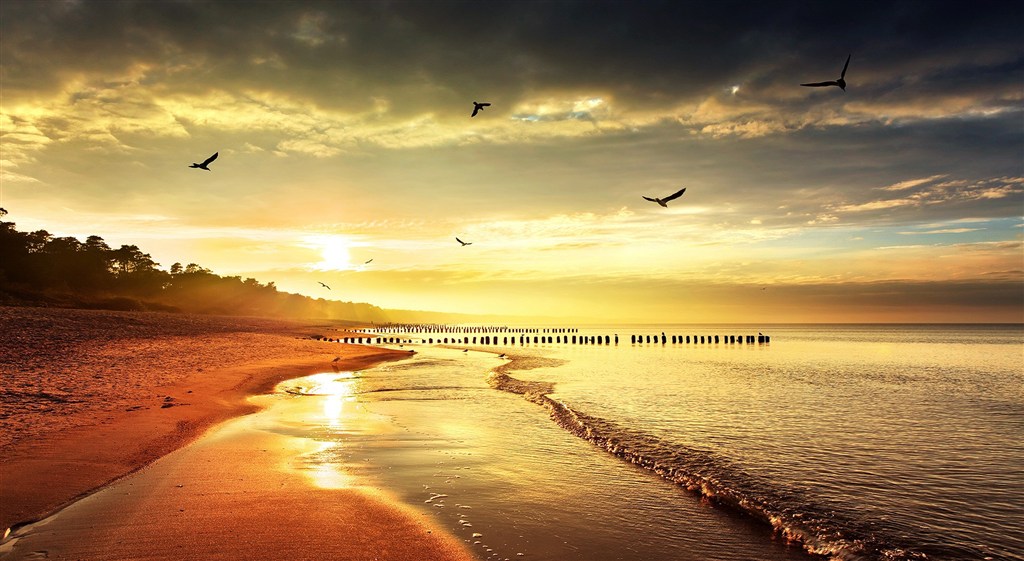 壮丽黄昏海滩落日海鸟盘旋图片(点击浏览下一张趣图)
