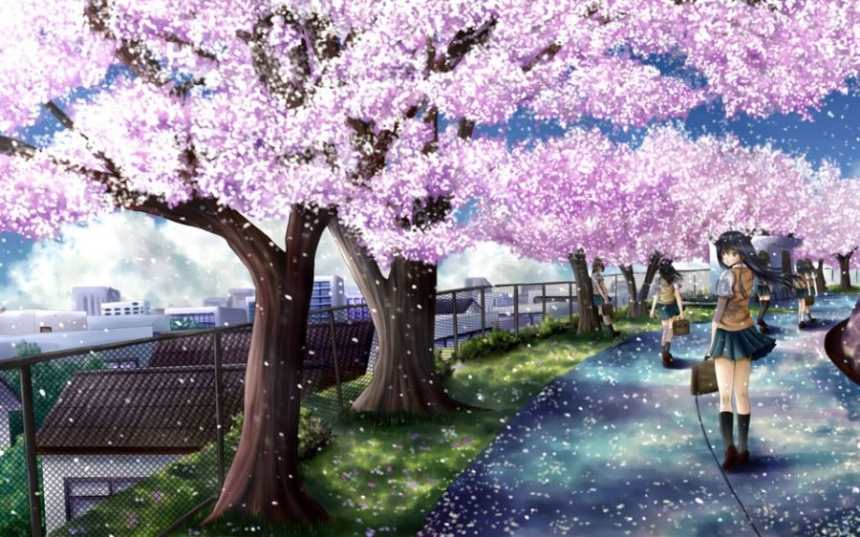 种满樱花树盛开的小路上长发女孩回头瞬间图片
