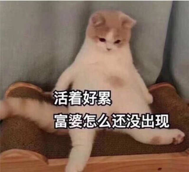 活着好累 富婆怎么还没出现（坐着的猫咪表情）