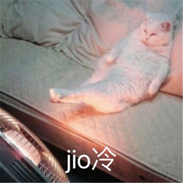 jio冷猫咪表情（烤着电暖扇）(点击浏览下一张趣图)