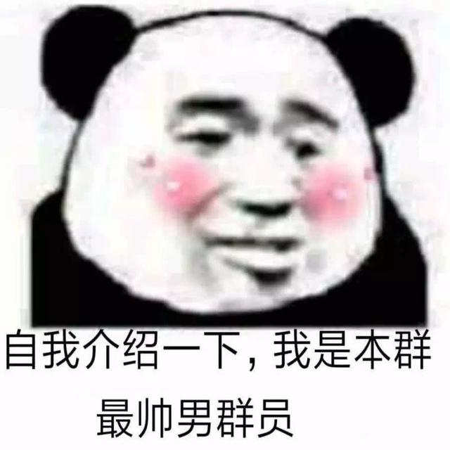 自我介绍一下吧 我是本群最帅男群员(点击浏览下一张趣图)