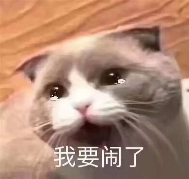 我要闹了猫咪两眼泪珠表情