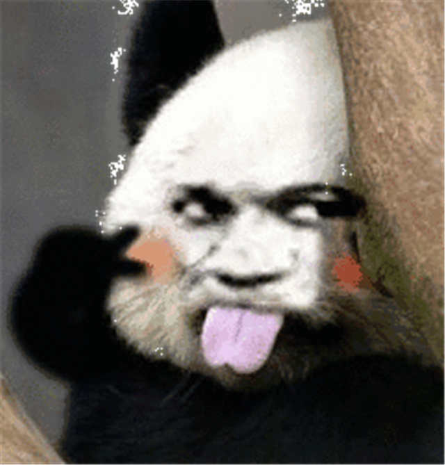 熊猫吐舌头暴漫表情(点击浏览下一张趣图)