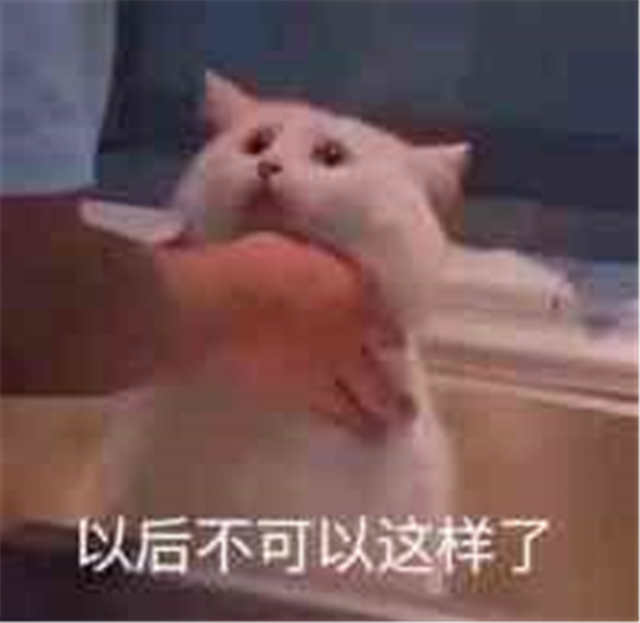 以后不可以这样了（用大手掐着猫咪）(点击浏览下一张趣图)