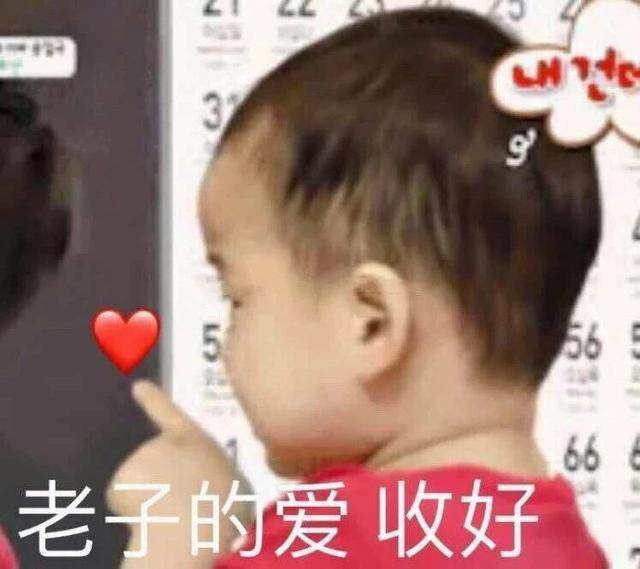 老子的爱 收好（小孩表情）