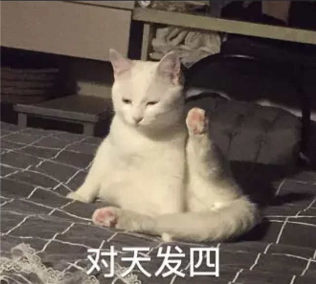 对天发誓猫咪举手表情