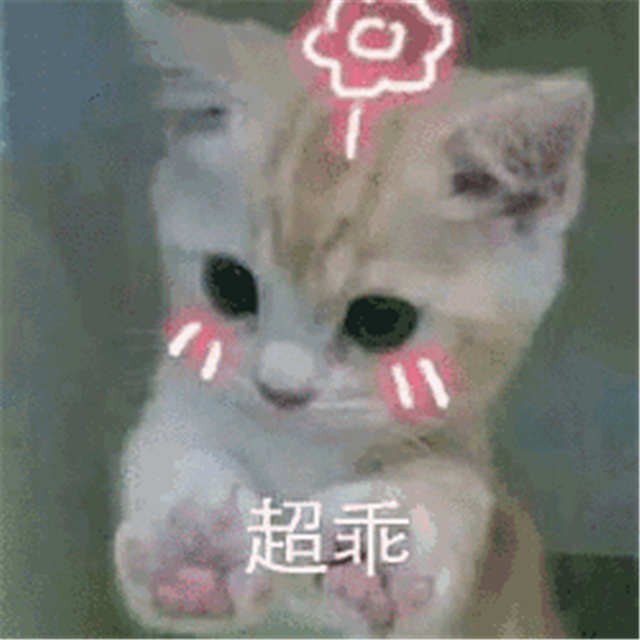 超乖可爱猫咪表情(点击浏览下一张趣图)
