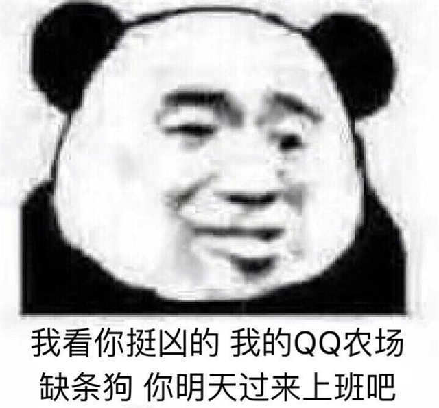 我看你挺凶的 我的QQ农场缺条狗 你明天过来上班吧