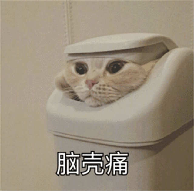 脑壳痛猫咪表情(点击浏览下一张趣图)