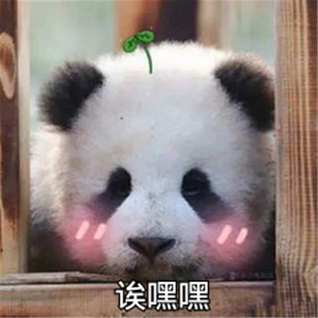 诶爱爱表情（可爱的小熊猫）(点击浏览下一张趣图)