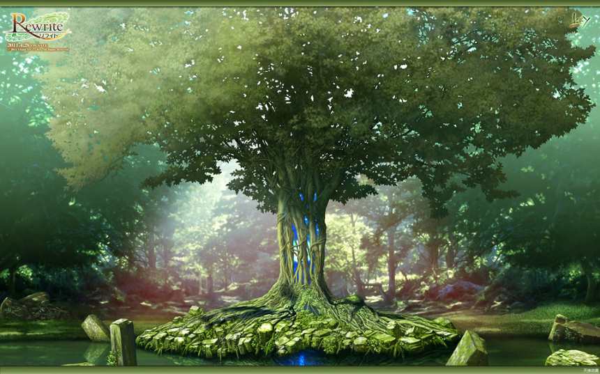 千年之树茂密森林图片(点击浏览下一张趣图)